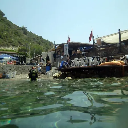 Couette-café Ada Marin *